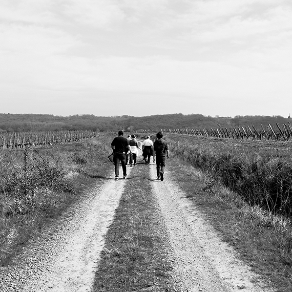 Photo Randonnées