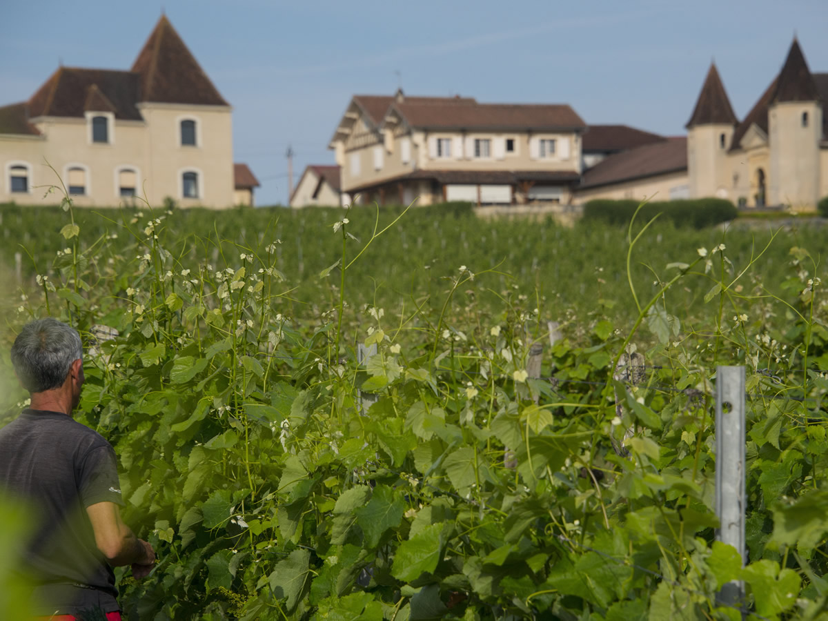 chateau Laffitte Teston jean marc madiran