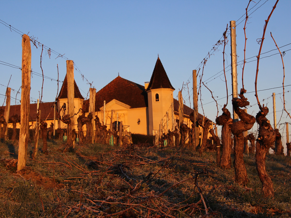 chateau Laffitte Teston jean marc madiran