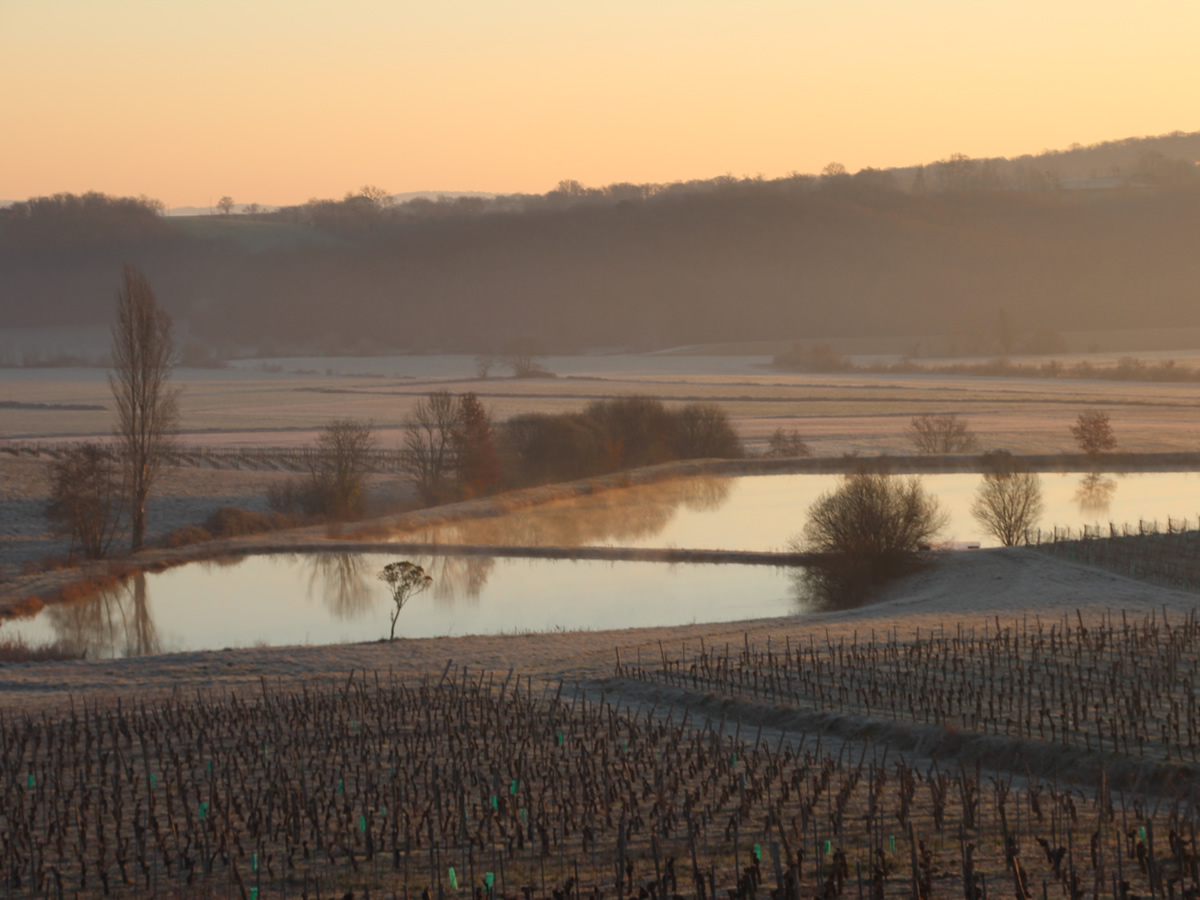 chateau Laffitte Teston jean marc madiran