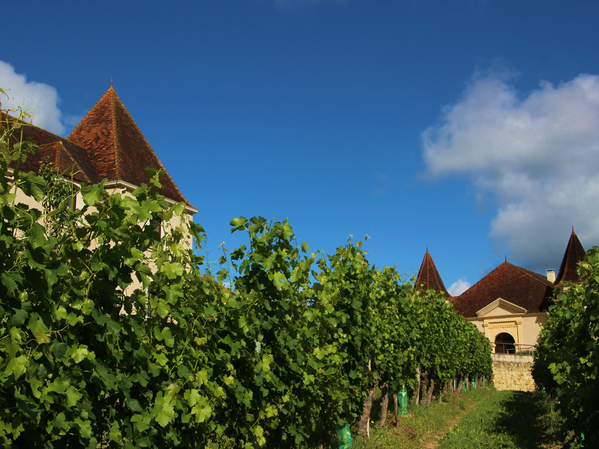 chateau Laffitte Teston jean marc madiran