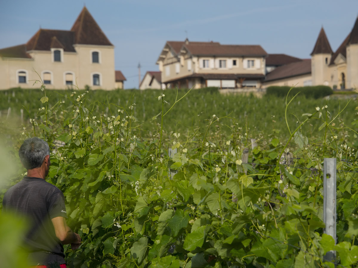 chateau Laffitte Teston jean marc madiran