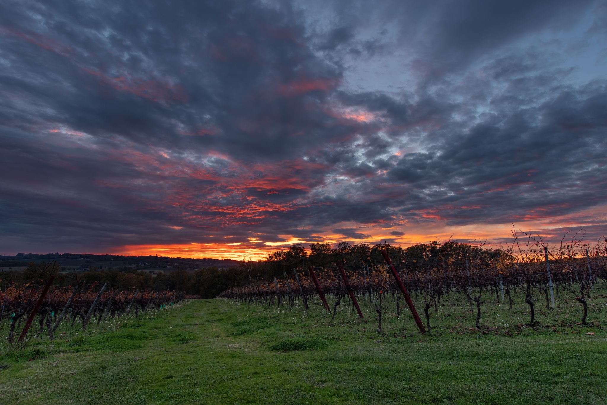 chateau Laffitte Teston jean marc madiran