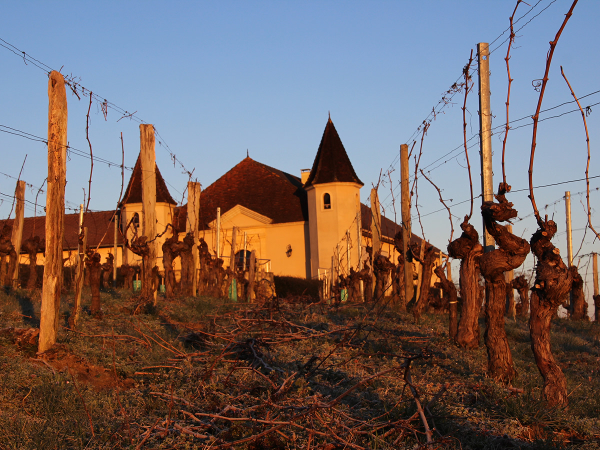 chateau Laffitte Teston jean marc madiran